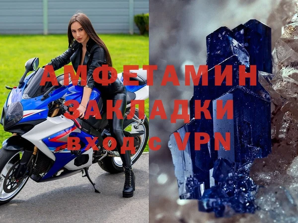 сатива Чита