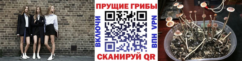Галлюциногенные грибы Magic Shrooms OMG ссылка нарко площадка телеграм где найти Шумерля